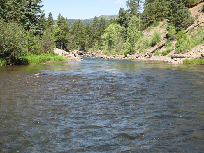 Rio Grande National Forest / Aspen Glade Campground Antonito, CO
